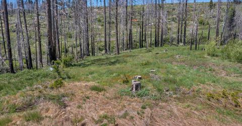7425 Winding Way, Grizzly Flats, CA 95636 Photo