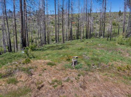 7425 Winding Way, Grizzly Flats, CA 95636 Photo