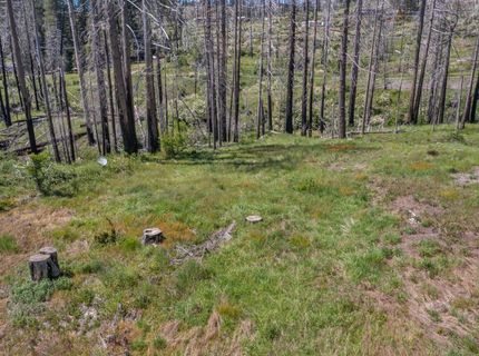 7425 Winding Way, Grizzly Flats, CA 95636 Photo