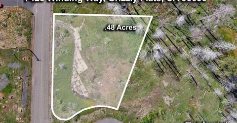 7425 Winding Way, Grizzly Flats, CA 95636 Photo