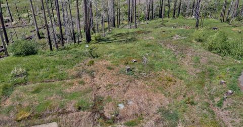 7425 Winding Way, Grizzly Flats, CA 95636 Photo