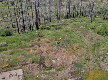 7425 Winding Way, Grizzly Flats, CA 95636 Photo