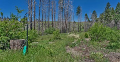 7425 Winding Way, Grizzly Flats, CA 95636 Photo