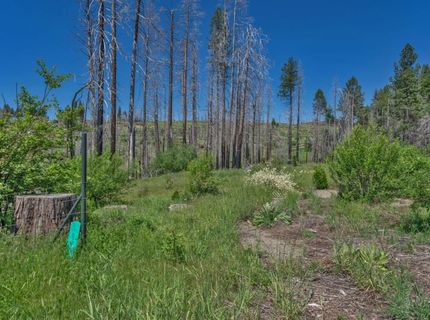 7425 Winding Way, Grizzly Flats, CA 95636 Photo