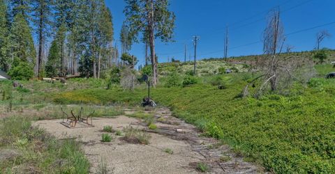 7425 Winding Way, Grizzly Flats, CA 95636 Photo