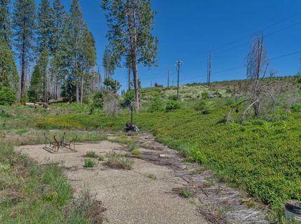 7425 Winding Way, Grizzly Flats, CA 95636 Photo