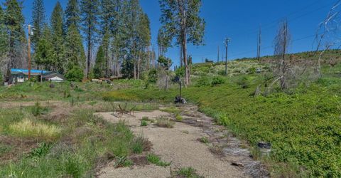 7425 Winding Way, Grizzly Flats, CA 95636 Photo