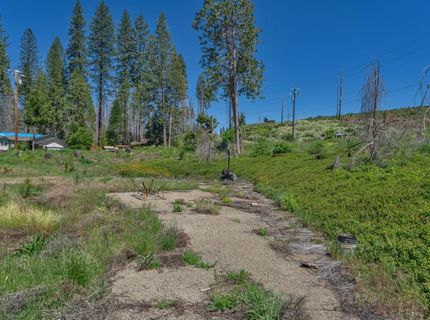 7425 Winding Way, Grizzly Flats, CA 95636 Photo