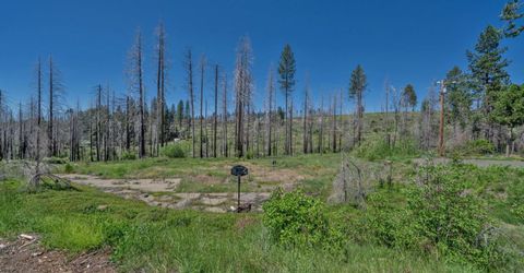 7425 Winding Way, Grizzly Flats, CA 95636 Photo