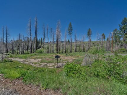7425 Winding Way, Grizzly Flats, CA 95636 Photo
