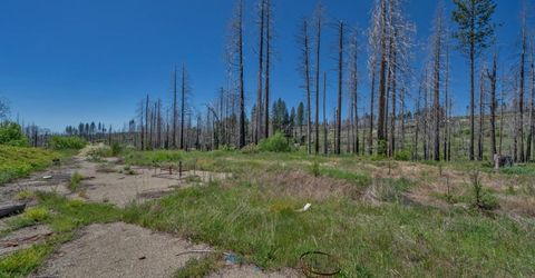7425 Winding Way, Grizzly Flats, CA 95636 Photo