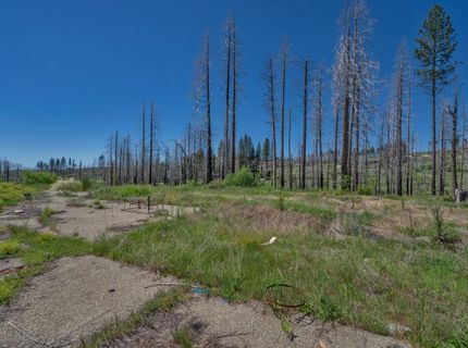 7425 Winding Way, Grizzly Flats, CA 95636 Photo