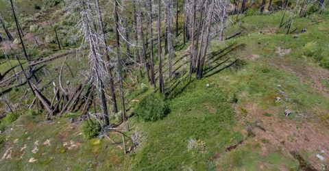 Winding Way Court, Grizzly Flats, CA 95636 Photo