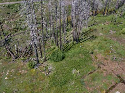 Winding Way Court, Grizzly Flats, CA 95636 Photo