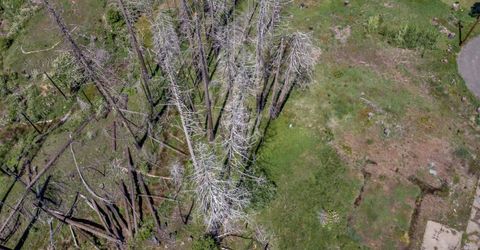 Winding Way Court, Grizzly Flats, CA 95636 Photo