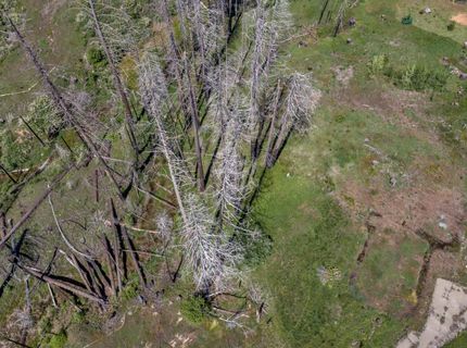 Winding Way Court, Grizzly Flats, CA 95636 Photo