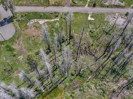 Winding Way Court, Grizzly Flats, CA 95636 Photo