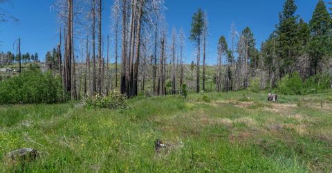Winding Way Court, Grizzly Flats, CA 95636 Photo
