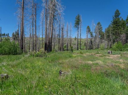 Winding Way Court, Grizzly Flats, CA 95636 Photo