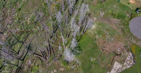 Winding Way Court, Grizzly Flats, CA 95636 Photo
