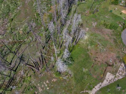 Winding Way Court, Grizzly Flats, CA 95636 Photo