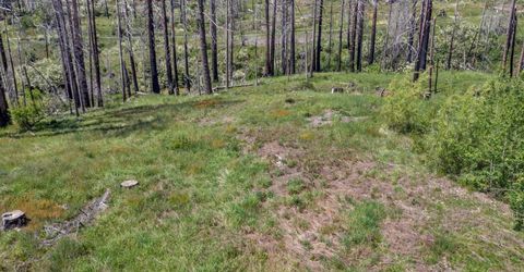 Winding Way Court, Grizzly Flats, CA 95636 Photo