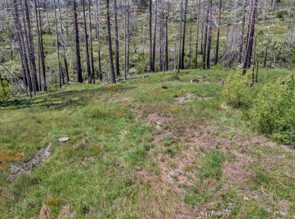 Winding Way Court, Grizzly Flats, CA 95636 Photo