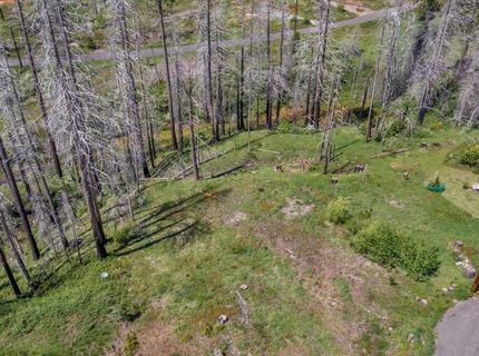 Winding Way Court, Grizzly Flats, CA 95636 Photo