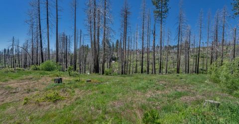 Winding Way Court, Grizzly Flats, CA 95636 Photo