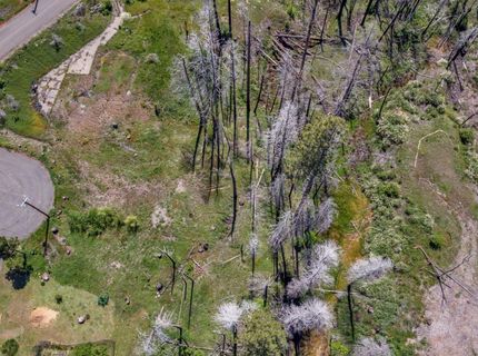 Winding Way Court, Grizzly Flats, CA 95636 Photo