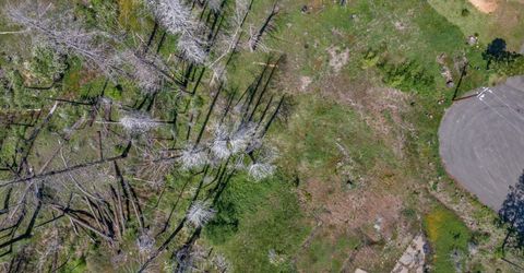 Winding Way Court, Grizzly Flats, CA 95636 Photo