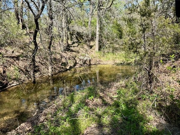 TBD FM 1885 , Perrin, TX 76486
