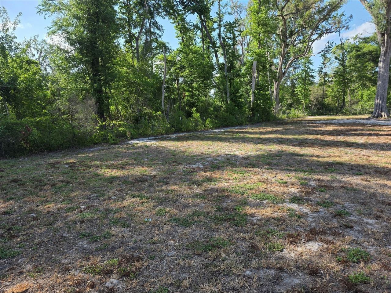142 NE 112th Avenue , Old Town, FL 32680 Photo