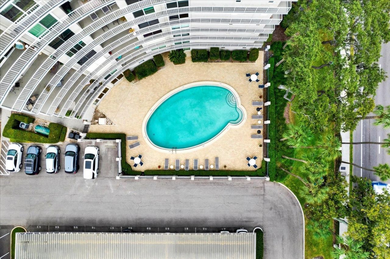 2611 Bayshore Boulevard, Unit 304, Tampa, FL 33629 Photo
