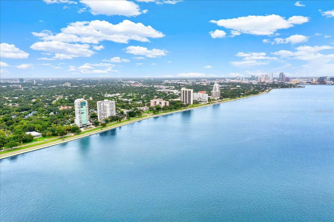 2611 Bayshore Boulevard, Unit 304, Tampa, FL 33629 Photo
