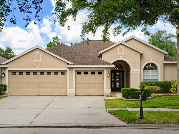 10115 KINGSBRIDGE AVENUE , TAMPA, FL 33626