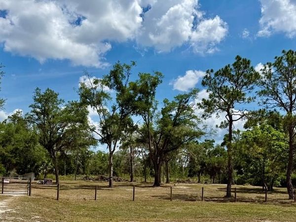 460th St, Cross City, FL 32628