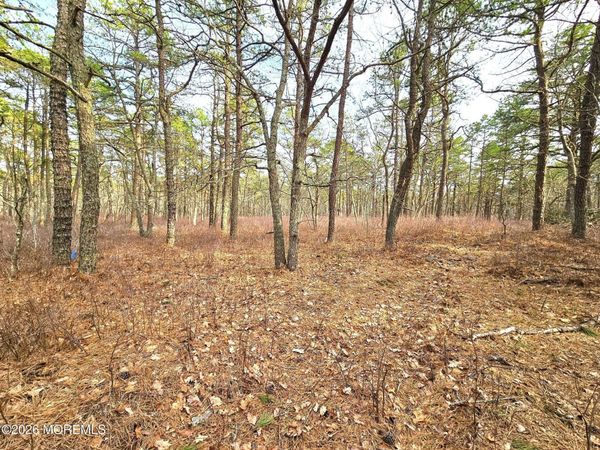 17 Pinewood Drive, Little Egg Harbor, NJ 08087