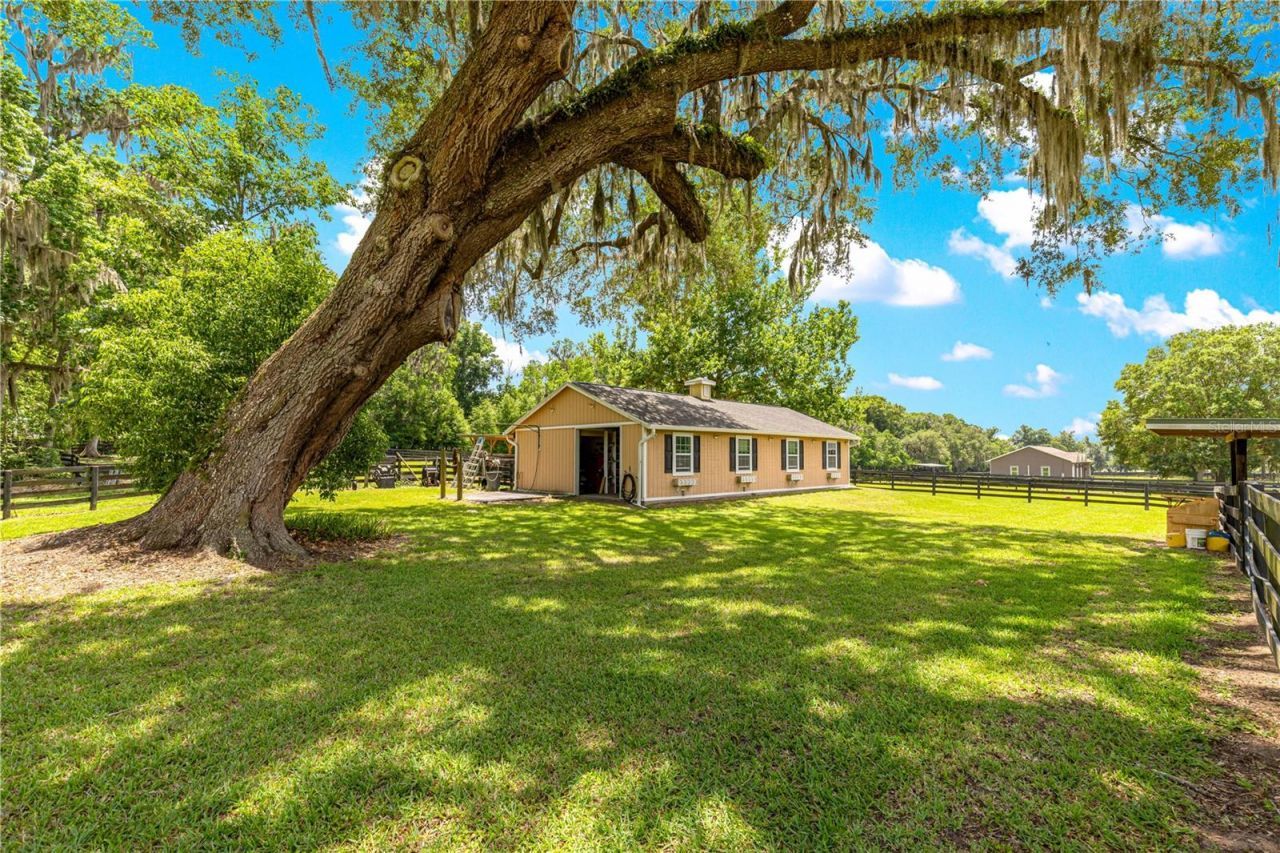 9041 SW 14th Avenue , Ocala, FL 34476 Photo