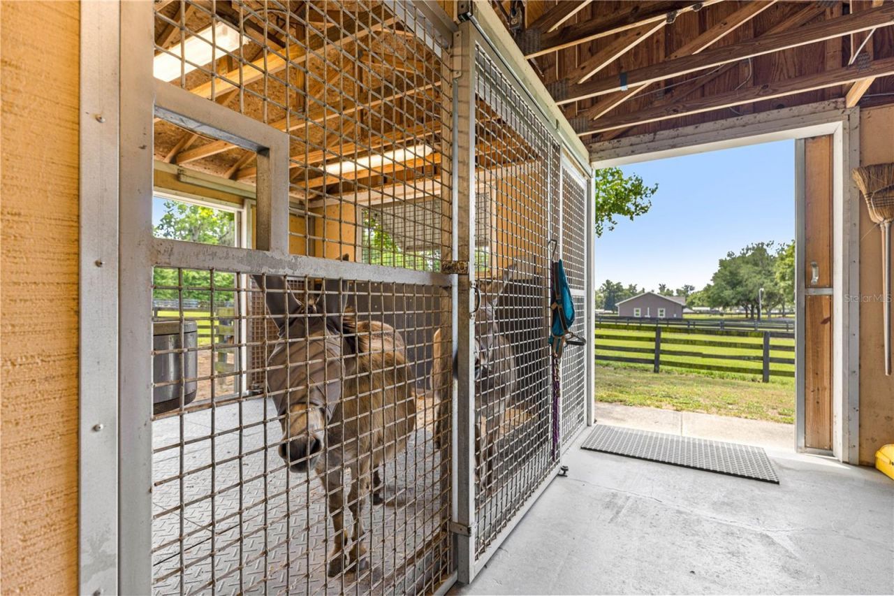 9041 SW 14th Avenue, Ocala, FL 34476 Photo