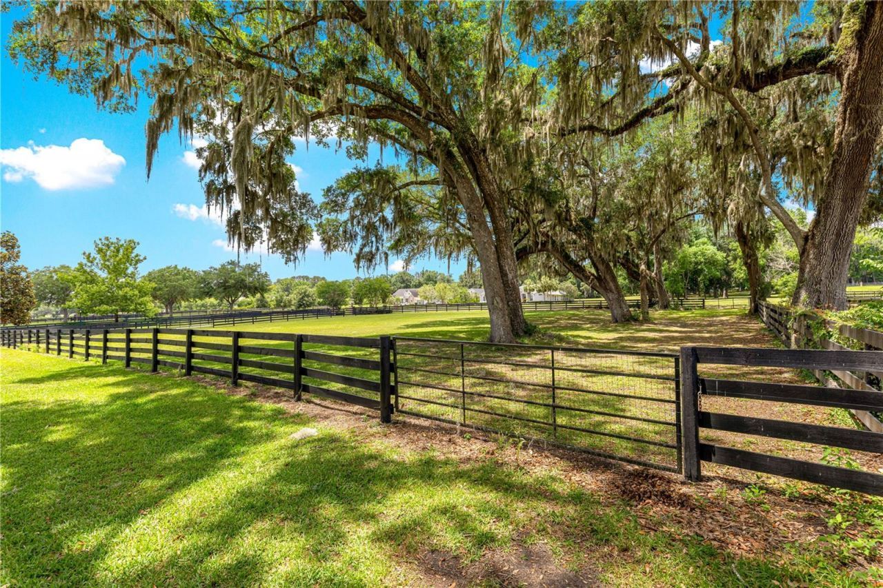 9041 SW 14th Avenue, Ocala, FL 34476 Photo