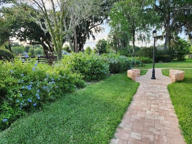9041 SW 14th Avenue, Ocala, FL 34476 Photo