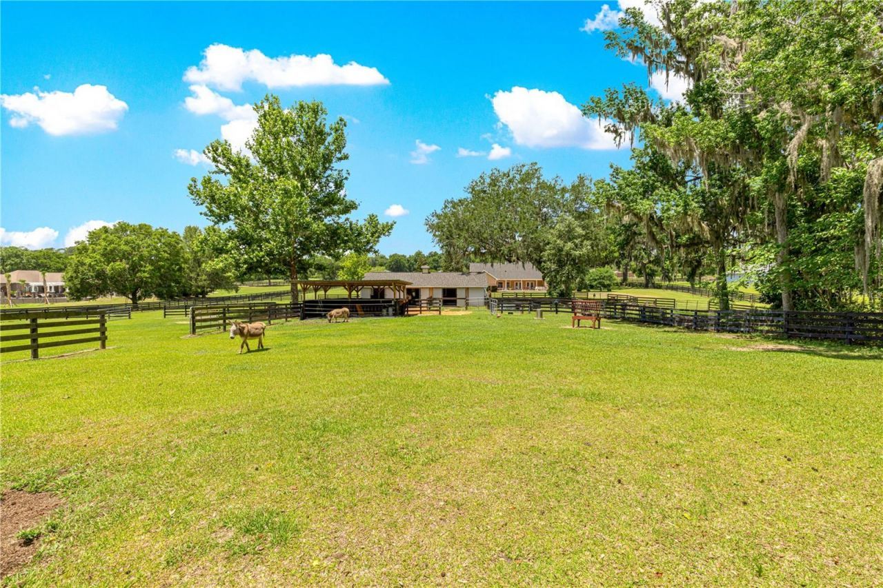 9041 SW 14th Avenue , Ocala, FL 34476 Photo