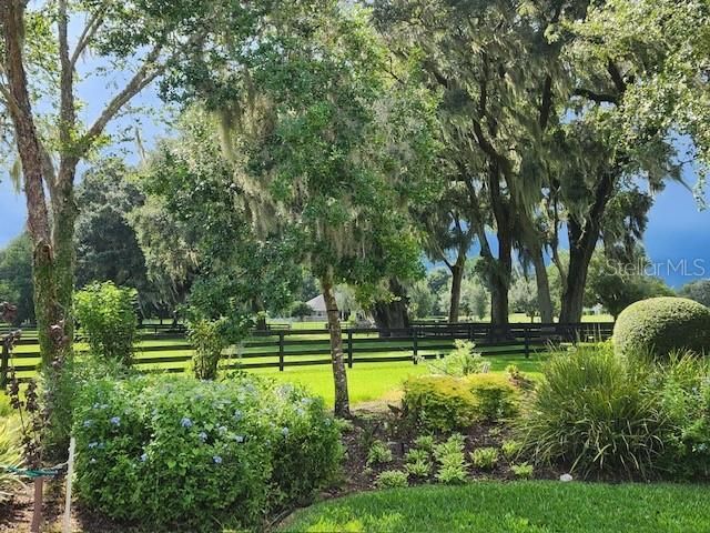 9041 SW 14th Avenue , Ocala, FL 34476 Photo