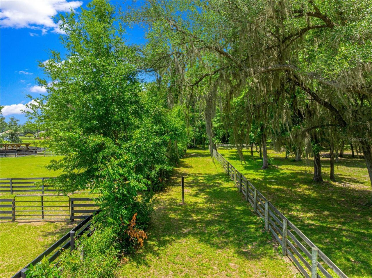 9041 SW 14th Avenue, Ocala, FL 34476 Photo