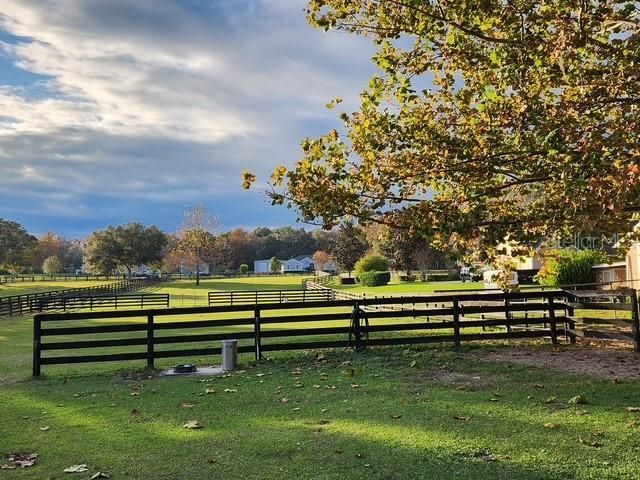 9041 SW 14th Avenue , Ocala, FL 34476 Photo
