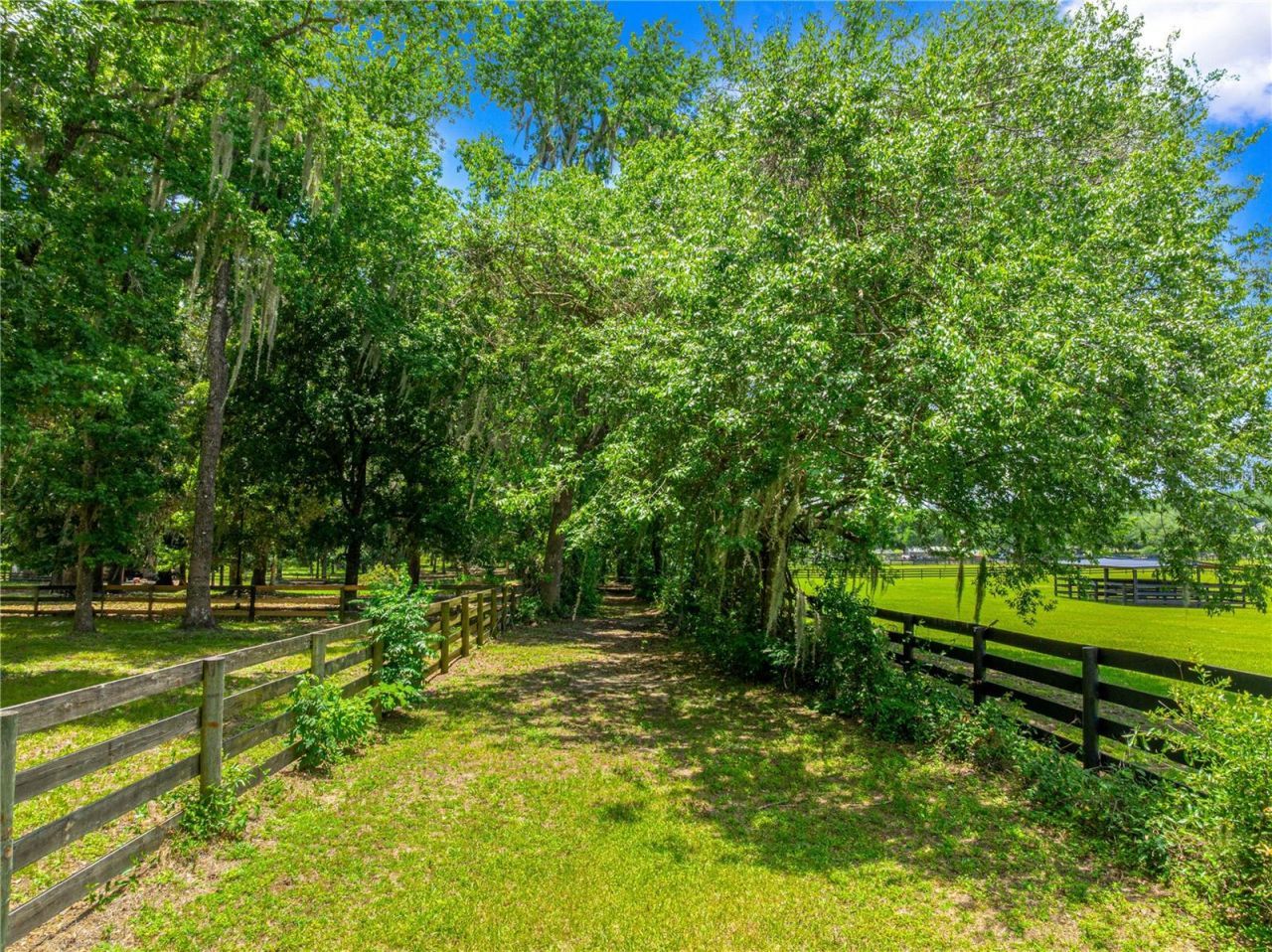 9041 SW 14th Avenue, Ocala, FL 34476 Photo