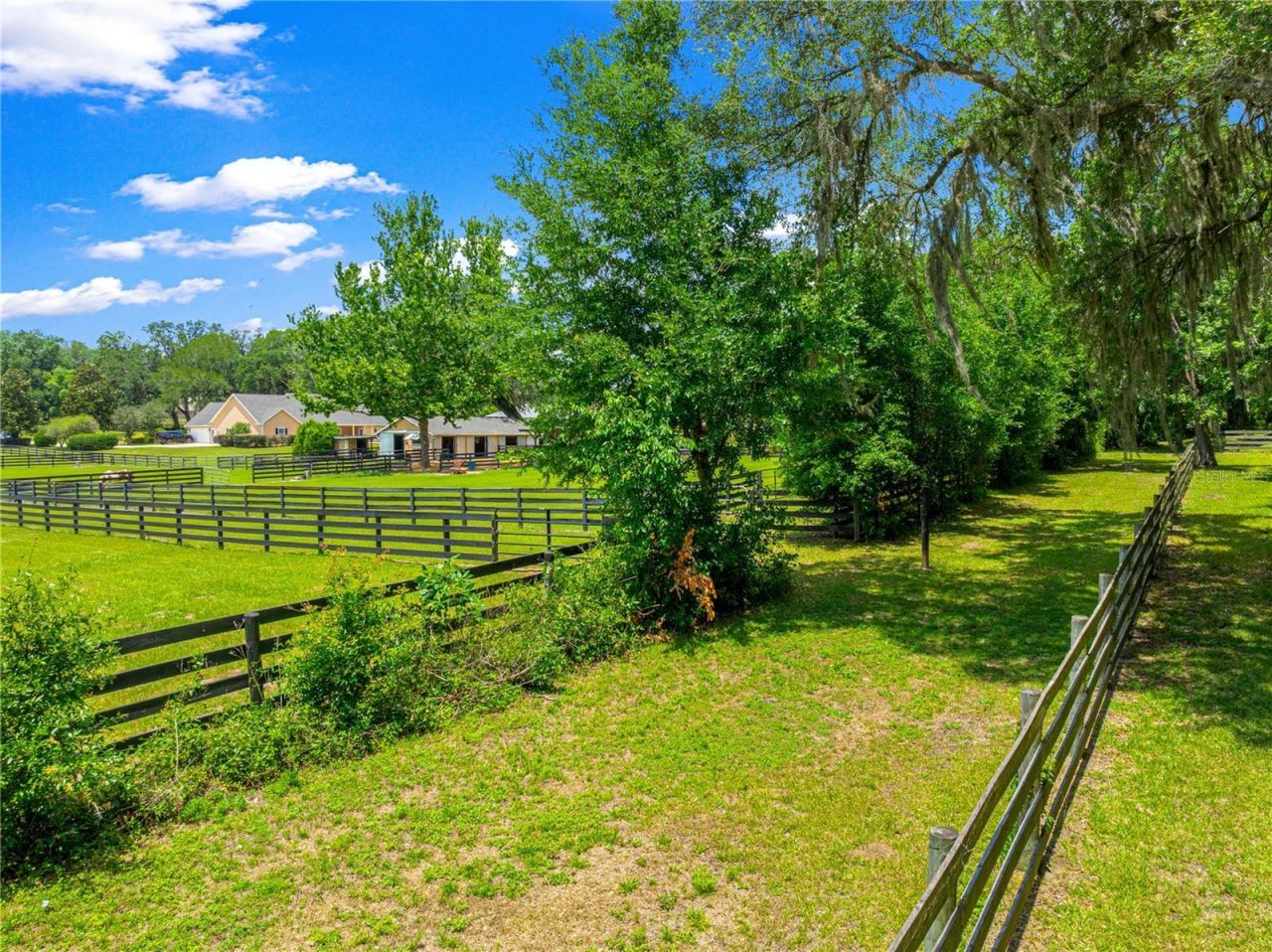 9041 SW 14th Avenue , Ocala, FL 34476 Photo