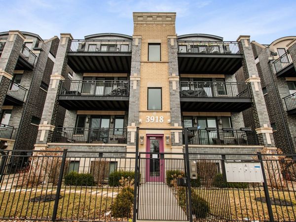 3918 S King Drive , Unit 1S, Chicago, IL 60653