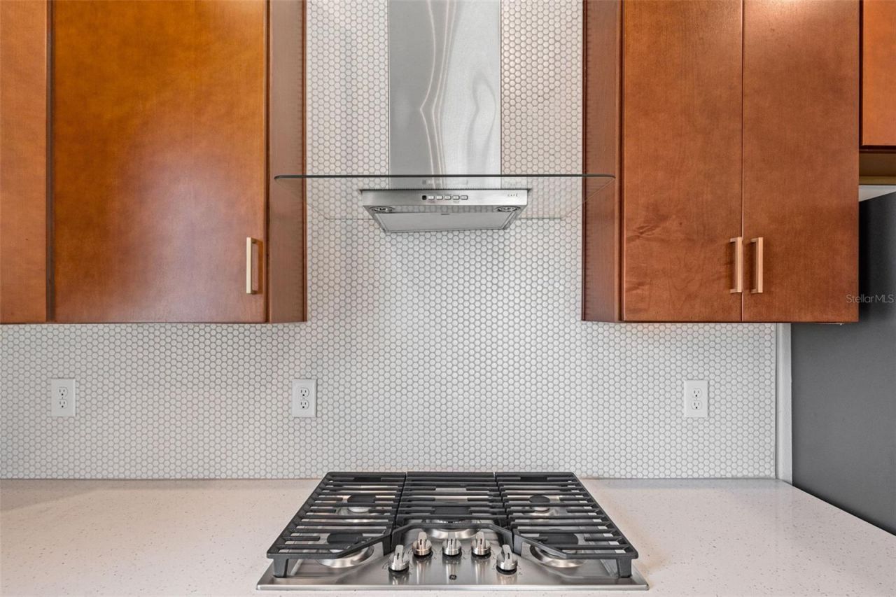 8093 Tea Olive Terrace, Palmetto, FL 34221 Photo